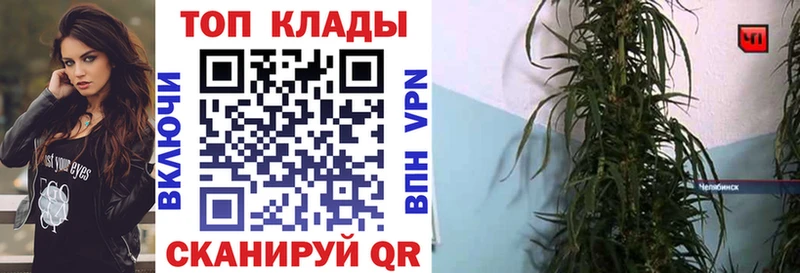 Где найти наркотики Вяземский блэк спрут как зайти АМФ ГЕРОИН Марихуана Меф мяу мяу ГАШИШ