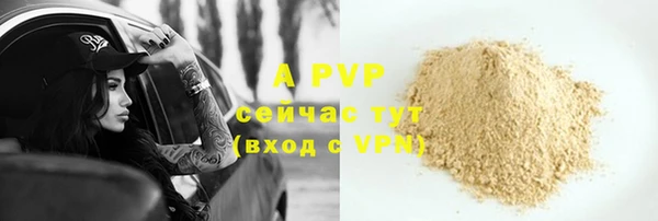 сатива Белокуриха