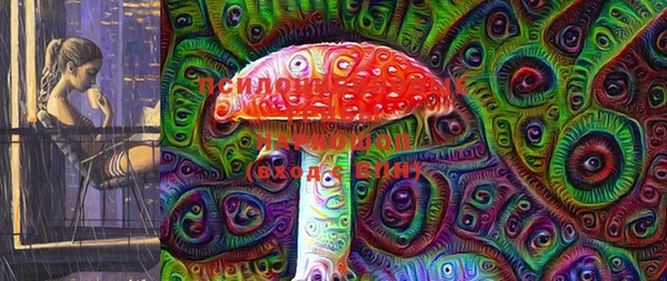 сатива Белокуриха