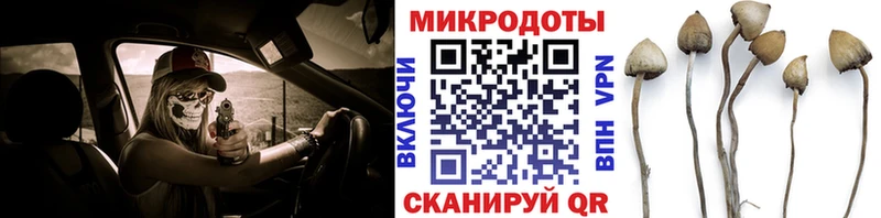 это наркотические препараты  где купить   Вяземский  Галлюциногенные грибы ЛСД 